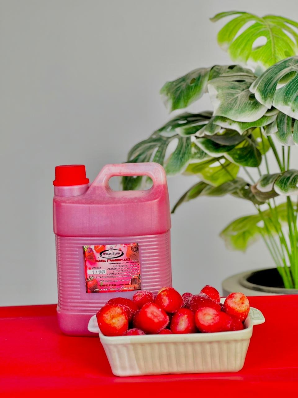 مزارع الحصاد/ Harvest farms